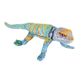 Coilkins Collared Lizard