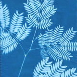 Super Sunprint Kit