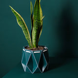 Medium POTR Pot - Dark Teal