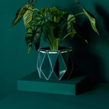 Medium POTR Pot - Dark Teal