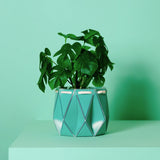 Medium POTR Pot - Aqua