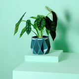 Medium POTR Pot - Dark Teal