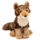 Coyote