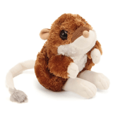 Kangaroo Rat
