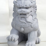 Fu Dog Male, Antique Gray.