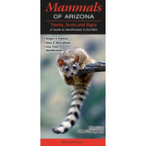 Mammals of Arizona: A Guide to Identification in the Wild