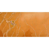 Aerial Taliesin West Print