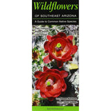 Wildflowers of Southeast Arizona: A Guide to Common Native Species
