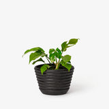 Racine Planter