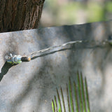 Raven Botanical Panel