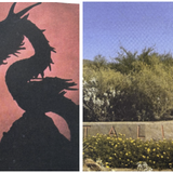 Postcards