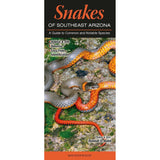 Snakes of Southeast Arizona: A Guide to Common & Notable Species