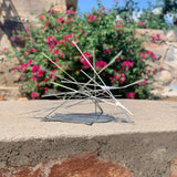 Forces of the Universe Sculpture by Heloise Crista