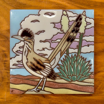 Roadrunner and Yucca 6