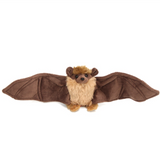 Little Brown Bat
