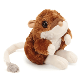 Kangaroo Rat